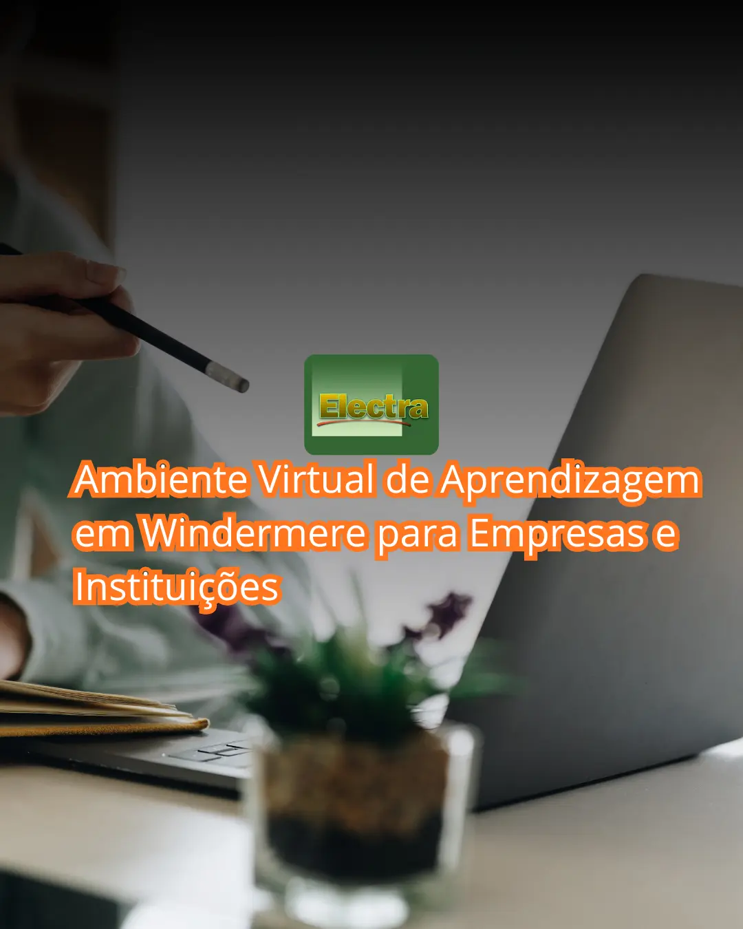 Ambiente Virtual de Aprendizagem em Windermere para Empresas e Instituições